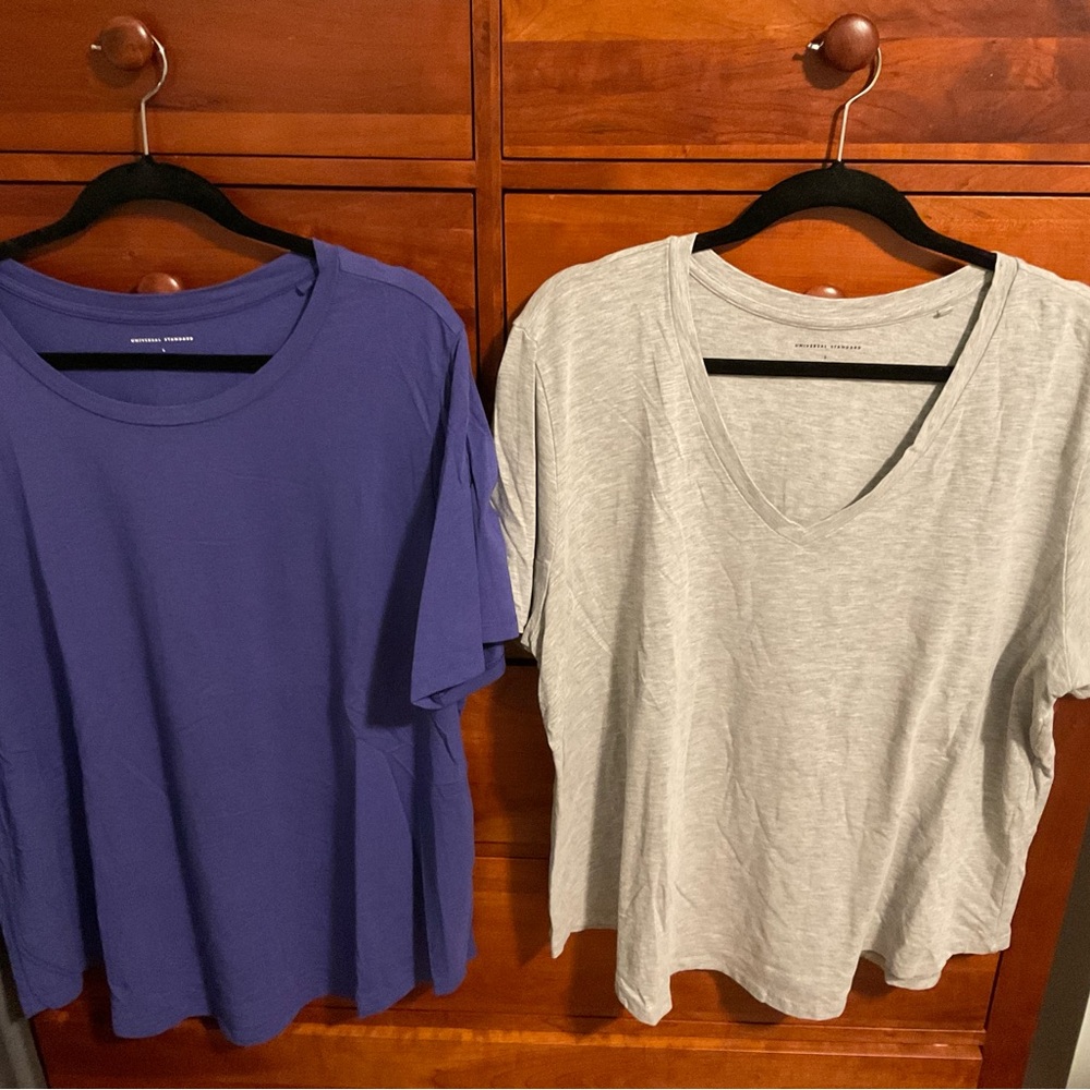Universal Standard V and T-Rex Tee Duo, Size L 22-24